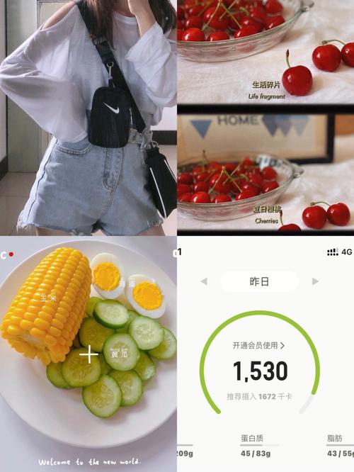 whatsapp多开为什么总是掉 whatsapp多开为什么总是掉