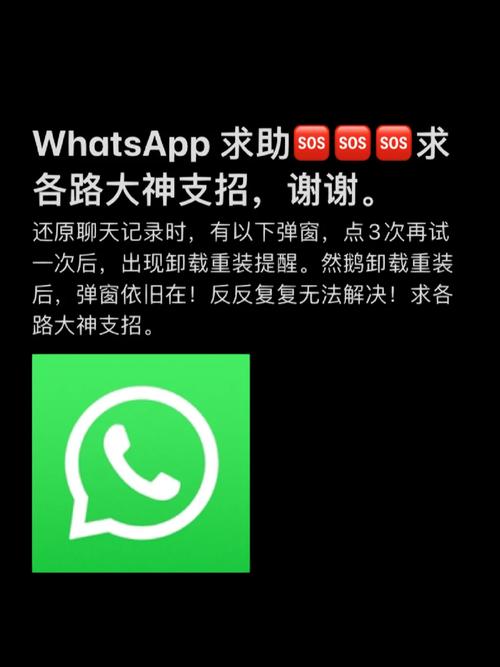 高效解决WhatsApp网页版登录的常见难题 高效解决WhatsApp网页版登录的常见难题
