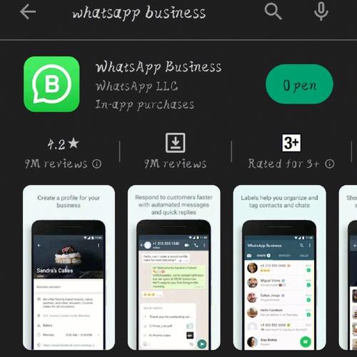 whatsapp语音验证中断 whatsapp语音验证中断