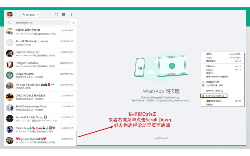 WhatsApp网页版的隐私保护措施详解