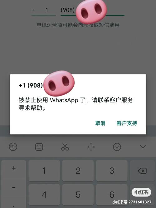 whatsapp被封发邮件没反应 whatsapp被封发邮件没反应