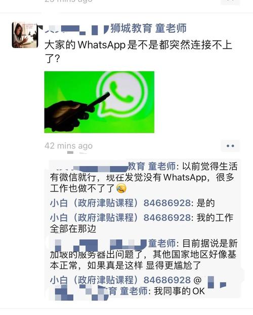 在WhatsApp中文版官网获取最新防护措施 在WhatsApp中文版官网获取最新防护措施