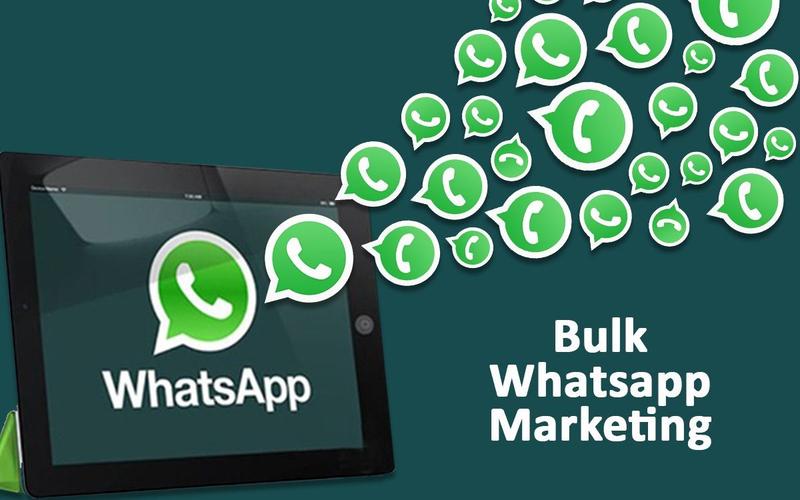 whatsapp这是个软件吗 whatsapp这是个软件吗
