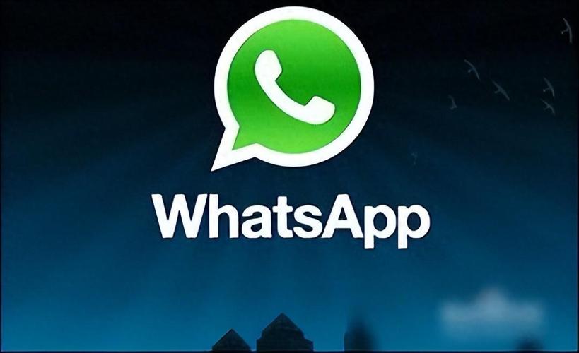 从WhatsApp官网下载应用,安全性和稳定性双保障 从WhatsApp官网下载应用,安全性和稳定性双保障