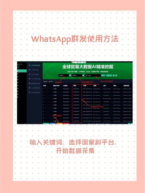 whatsapp群发软件开发 whatsapp群发软件开发