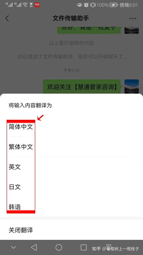 whatsapp聊天如何设置自动翻译 whatsapp聊天如何设置自动翻译