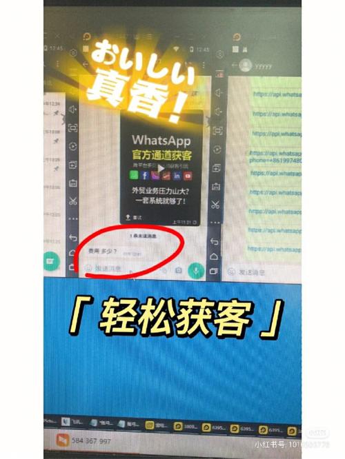 如何在WhatsApp电脑版官网上查看更新日志 如何在WhatsApp电脑版官网上查看更新日志