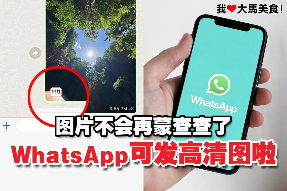官方发布,WhatsApp中文版官网下载流程详解 官方发布,WhatsApp中文版官网下载流程详解
