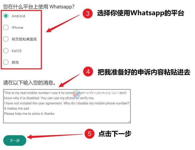 如何在WhatsApp官方网站上进行系统检查 如何在WhatsApp官方网站上进行系统检查