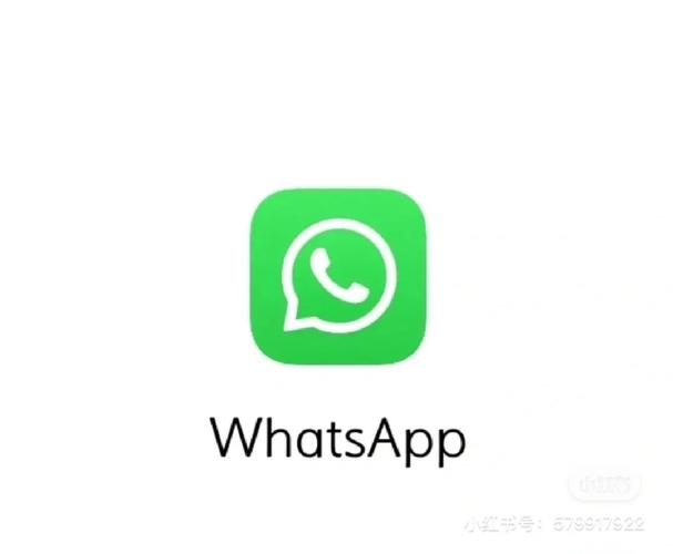如何在WhatsApp中文官网上找到最新版本 如何在WhatsApp中文官网上找到最新版本