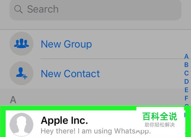 如何在WhatsApp中文版官网查看使用条款? 如何在WhatsApp中文版官网查看使用条款?