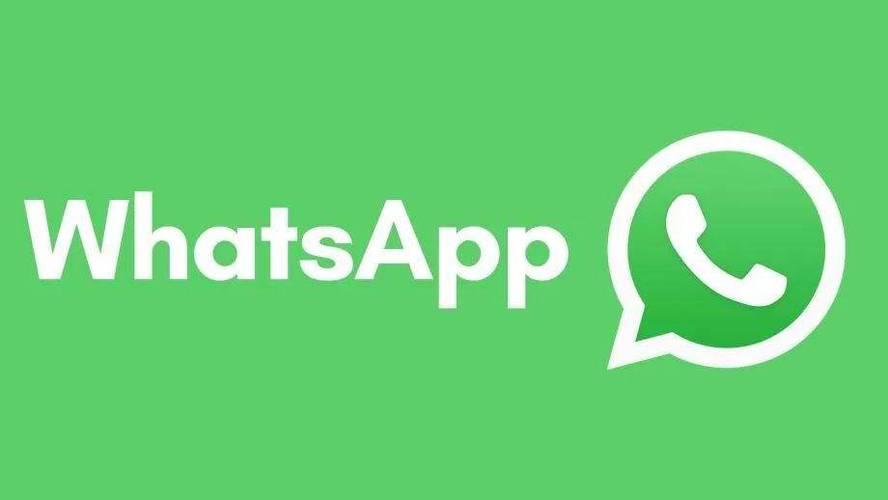 whatsapp是什么意思中文 whatsapp是什么意思中文