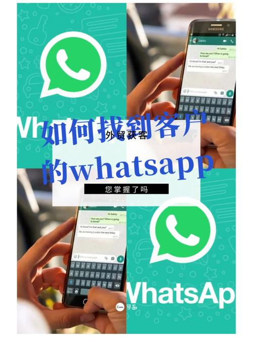 从WhatsApp官网获取新版客户端下载链接,确保安全 从WhatsApp官网获取新版客户端下载链接,确保安全