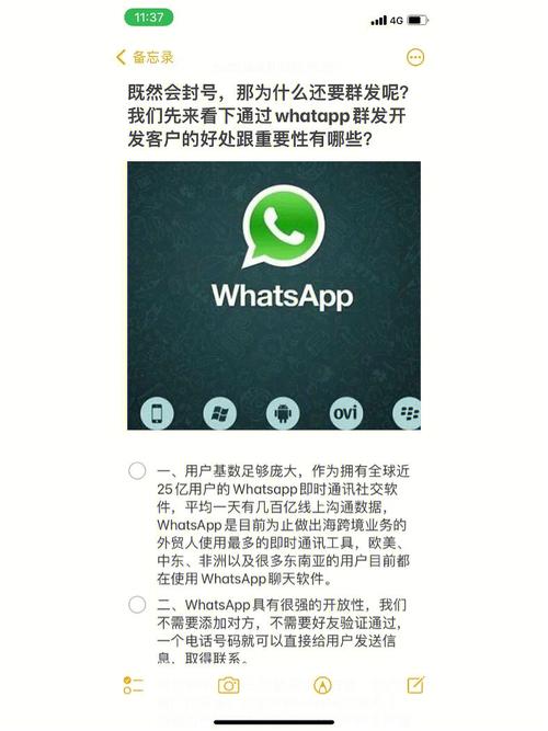 如何在WhatsApp网页版上处理附件问题 如何在WhatsApp网页版上处理附件问题