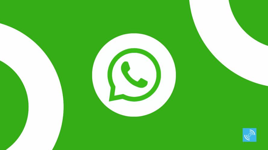 访问WhatsApp官网,获取最新版软件下载地址 访问WhatsApp官网,获取最新版软件下载地址