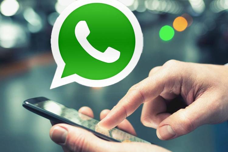 WhatsApp中文电脑版官网版本下载指南 WhatsApp中文电脑版官网版本下载指南
